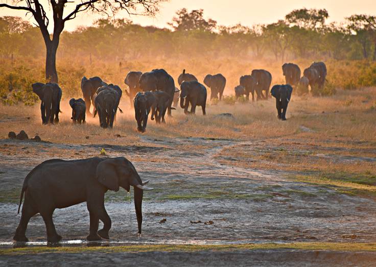 Главные достопримечательности и национальные парки Зимбабве: юго-запад и запад